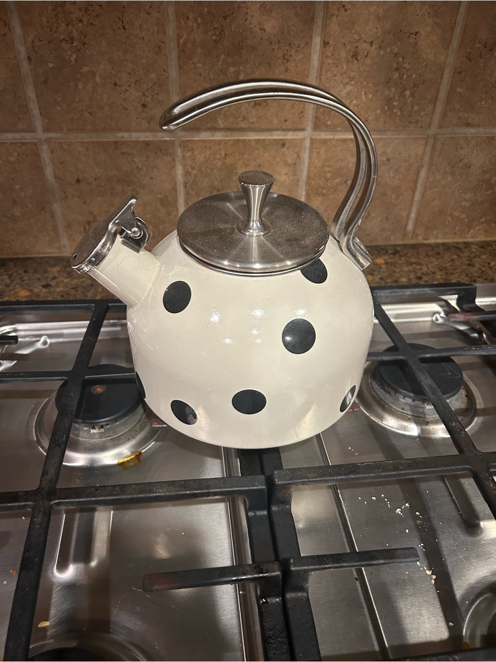 kate spade White Polka Dot Whistling Stovetop Kettle with Stainless Accents